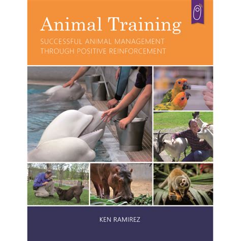 animal training q&a